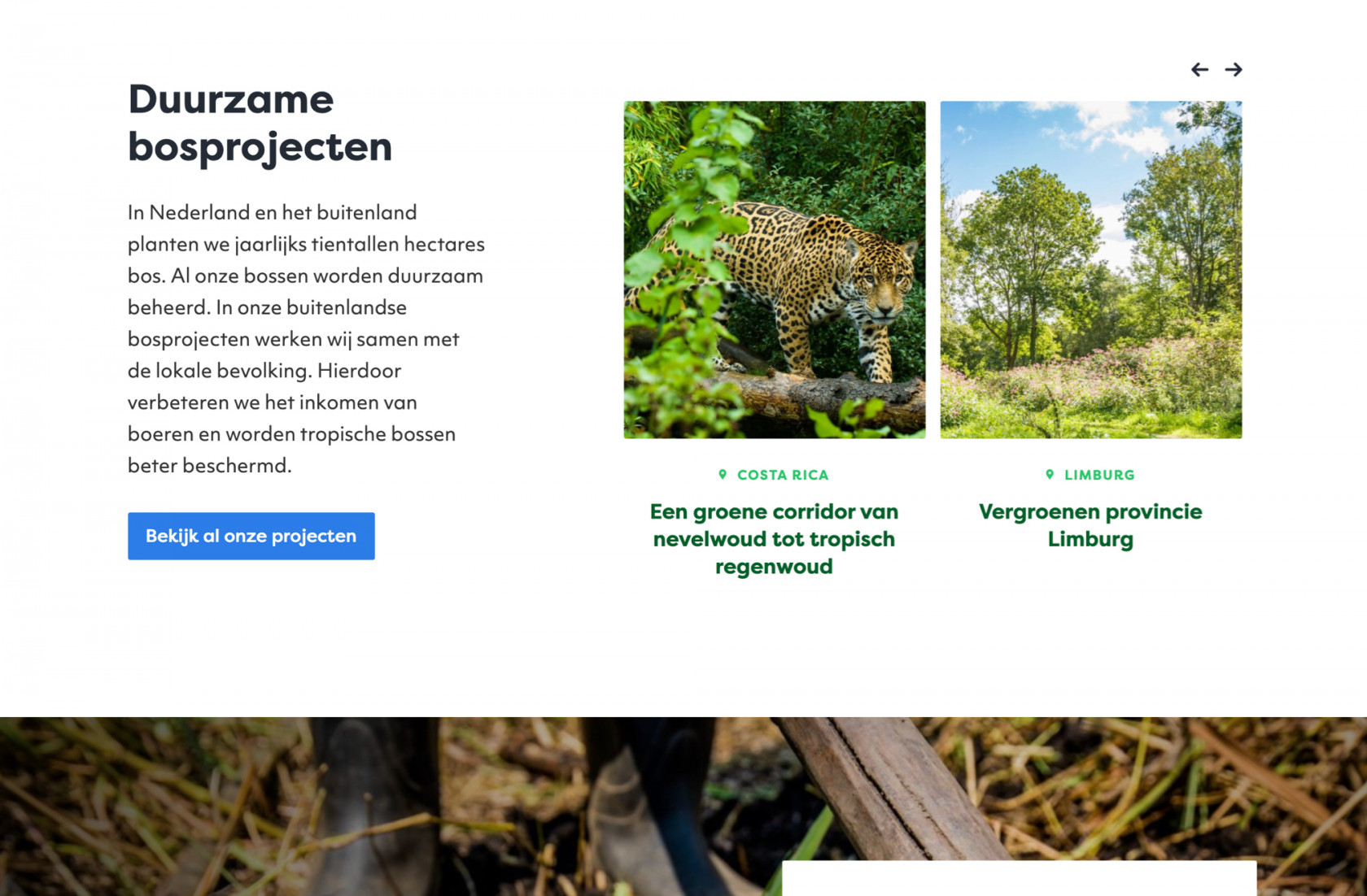 Screenshot desktop treesforall